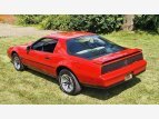 Thumbnail Photo 6 for 1984 Pontiac Firebird Trans Am Coupe